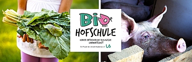 "Die Bio-Hofschule: Kinder entdecken die ökologische Landwirtschaft"